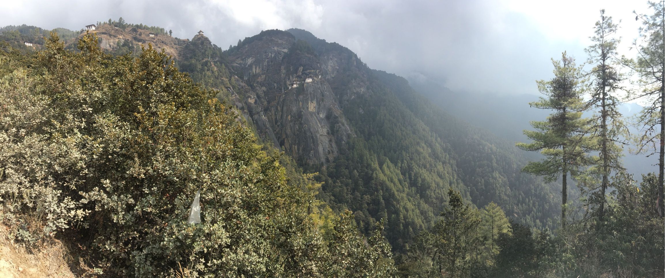 This Wine Detox Is A Bhutanese Parasite