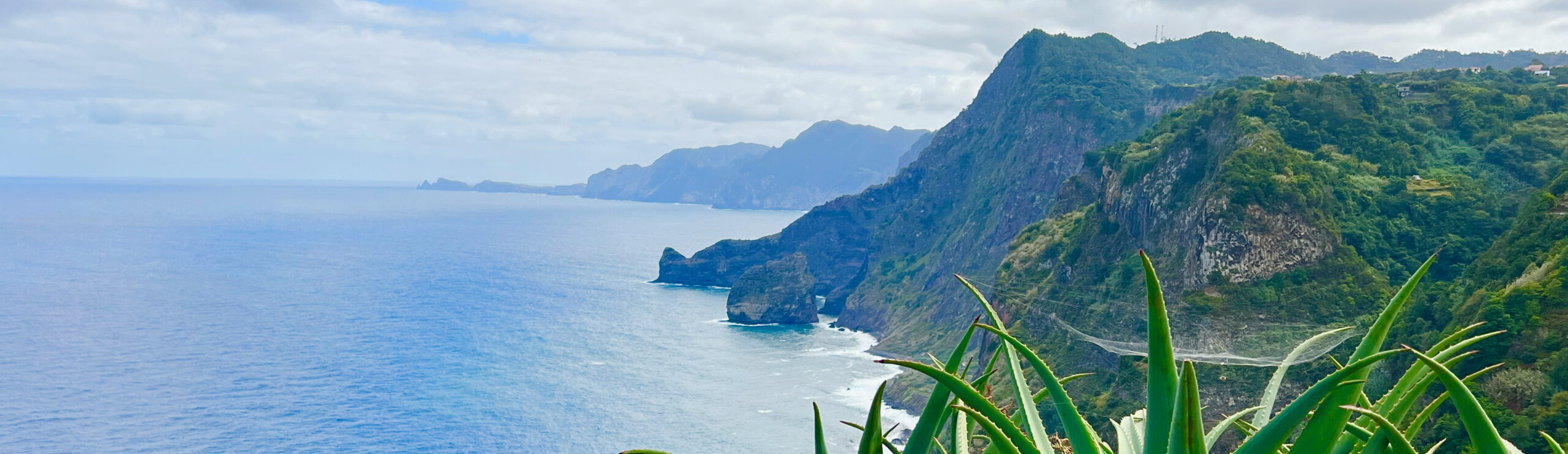 Madeira Island Feasting