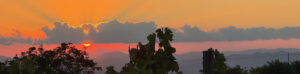 Mount Etna Wine Tasting Notes